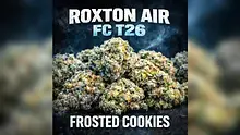 Cannabis Culture  Video Thumbnail