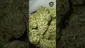Video Thumbnail: VIP THC