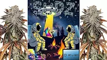 Medical420TV Video Thumbnail