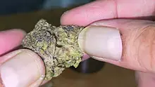 Vinnie's Lounge Video Thumbnail