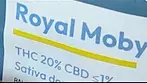 Curaleaf | Royal Moby | FIRST IMPRESSIONS | Silver Haze