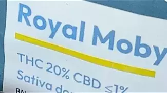 Curaleaf | Royal Moby | FIRST IMPRESSIONS | Silver Haze