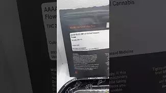 AAAA | Gelato Orange Cake | First Look 