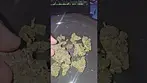 GreyScales Flapjacks UK Medical Flower First Impressions