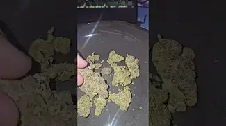 GreyScales Flapjacks UK Medical Flower First Impressions