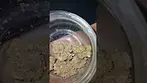 Grow Pharma French Cookies 22%
