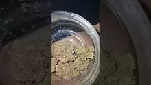 MillsMF Video Thumbnail