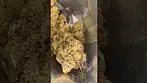 Green Karat PV T29 Pave S1 Medical Cannabis Flower