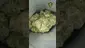 Video Thumbnail: VIP THC