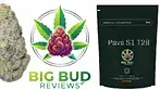 Pave S1 by Green Karat T28  Medical Review
