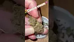 Cookie cream nugs