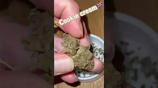 Cookie cream nugs