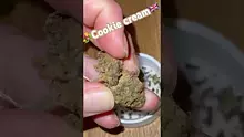 EdTalks420 Video Thumbnail