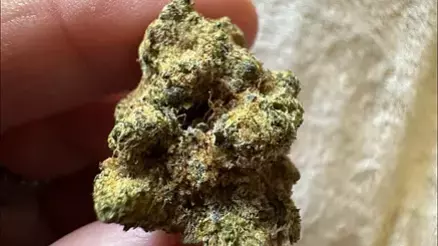 Medical Bud Reviews Video Thumbnail