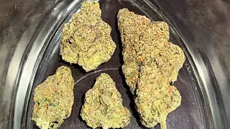 OSTARA T30 GAS CAKE REVIEW