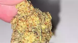 UK Medical Flower - East Cann Craft LP MAC1 24%