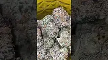 High Jack Video Thumbnail