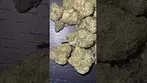 DOE Medical | BRITZ 27/1 Medical Cannabis Flower #cannabisdaily #legal #ukmedicine