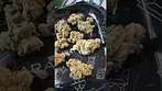 Tyson 2.0 TM T28 Tiger Milk Medical Cannabis Flower