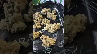 Tyson 2.0 TM T28 Tiger Milk Medical Cannabis Flower
