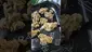 Video Thumbnail: Smokie McGreen