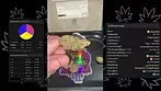 UK MEDICAL FLOWER | KASA VERDE | GO GRAPE OCTANE