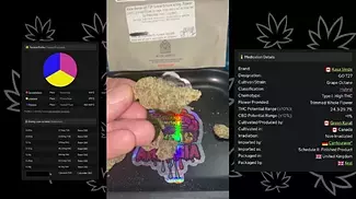 UK MEDICAL FLOWER | KASA VERDE | GO GRAPE OCTANE
