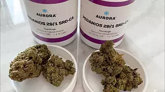 Aurora Sourdough T29 (the best medical strain available in my opinion so far)