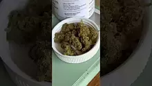  Pesky Mesky Meds Video Thumbnail