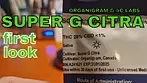 SUPER G CITRA | Organigram & 4C Labs | FIRST LOOK