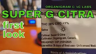 SUPER G CITRA | Organigram & 4C Labs | FIRST LOOK
