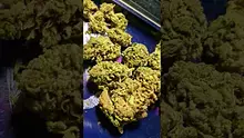 PrescribedBouquet Video Thumbnail