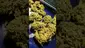 Video Thumbnail: PrescribedBouquet