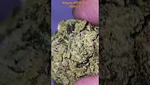 Vinnie's Lounge Video Thumbnail