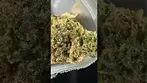 Green Karat |Lemon skunk | UK Medical Flower #medicalcannabis #ukmedicalcannabis
