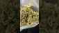 Video Thumbnail: Vybzz 420