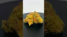 HerbGaming Video Thumbnail