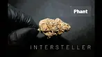 Intersteller | Phant | UK Medical Cannabis Review
