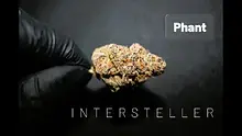 AK87 Reviews Video Thumbnail