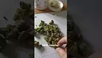 Peace Naturals - Atomic Sour Grapefruit 30%THC (UK Medical Cannabis Prescription)