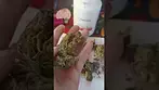 Medical Cannabis UK Review | Hexa02 Lemon Jane