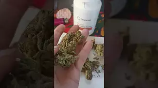 Medical Cannabis UK Review | Hexa02 Lemon Jane
