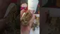 Video Thumbnail: Kady's New Life