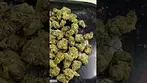 CRAFT BOTANICS WHITE RUNTZ (UK PRESCRIPTION MEDICATION)