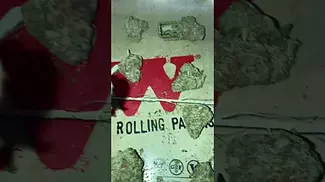 KASA VERDE | WHITE COOKIES |  NON IRRADIATED  UK MEDICAL CANNABIS PATIENT FLOWER VIDEO 2025