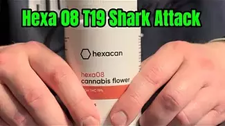 Hexacan Hexa T19 08 Shark Attack