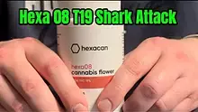 MCUK Video Thumbnail