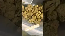 EdTalks420 Video Thumbnail