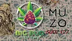 Sudz by Muzo - SDZ T27 - The Soap X Runtz Medical Cannabis Review