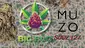 Video Thumbnail: Big Bud Reviews